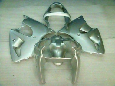 Carenado ZX6R 2000-2002 - Plata