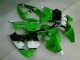 Inyección Kits Carenado ZX6R 2000-2002 - Verde Negro